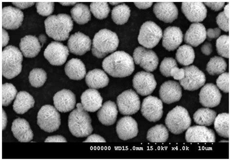 一种单晶材料前驱体和复合氧化物粉体及其制备方法和应用与流程