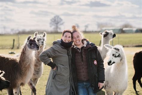 Weidebesuch Bei Lamast Lamast Dein Weg Mit Dem Lama