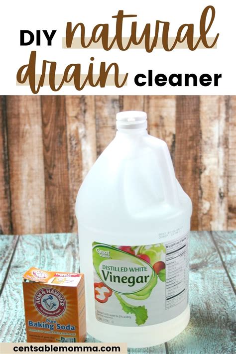Diy Drain Cleaner Artofit