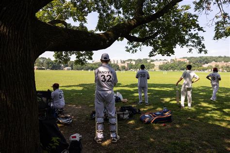 New York City Loses Contentious Bid for Cricket Stadium to Long Island ...