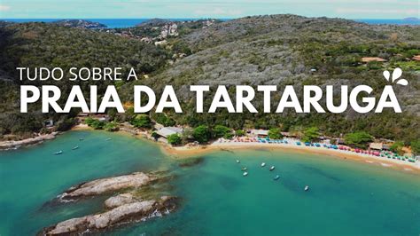 Praia Da Tartaruga Em B Zios Rj Como Chegar Gruta Da Tartaruga