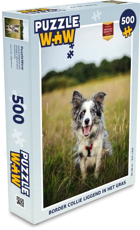 Puzzel Border Collie Liggend In Het Gras Legpuzzel Puzzel 500