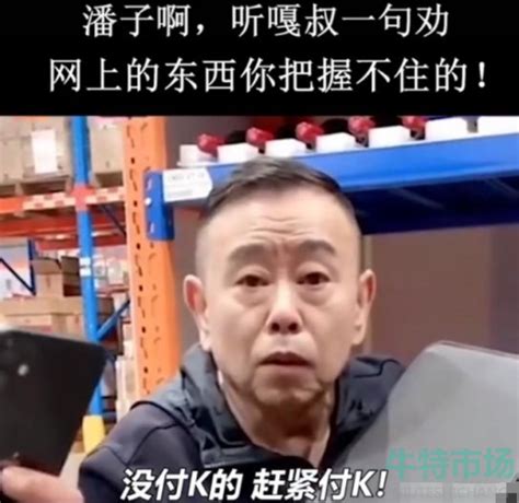 潘子听嘎叔一句劝是什么梗 潘子听嘎叔一句劝梗的意思介绍 牛特市场