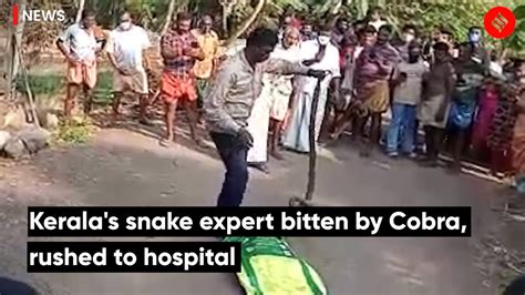 Keralas Snake Expert Bitten By Cobra Rushed To Hospital Youtube