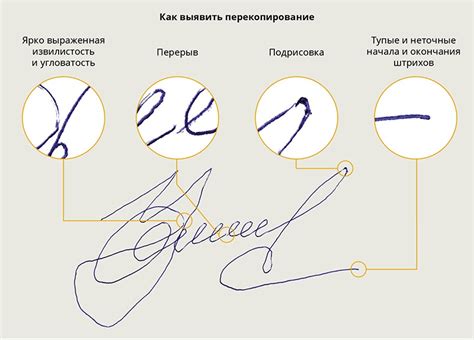 Пять признаков фальшивой подписи, которые вы найдете в кадровых ...