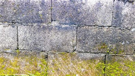 Mossy Wall Stock Photos Images And Backgrounds For Free Download