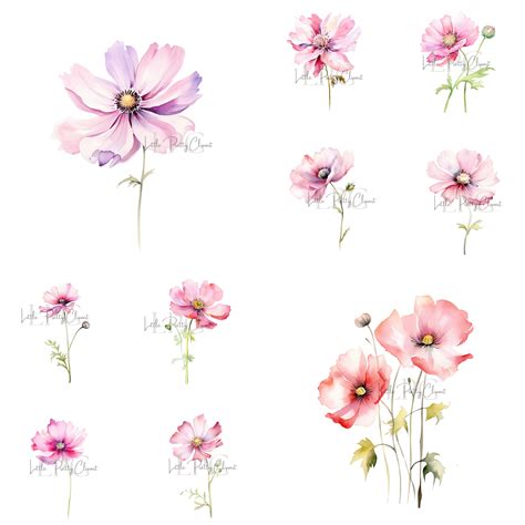 Whimsical Wildflowers Clipart Watercolor Flower Spring Clipart - Etsy