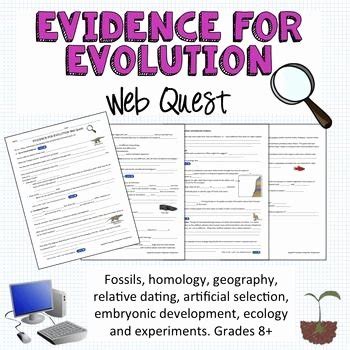 Evidence Evolution Worksheets