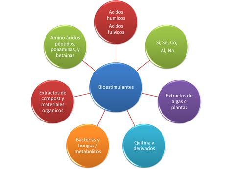 Cu Les Son Y C Mo Act An Los Microorganismos Productores De Sustancias