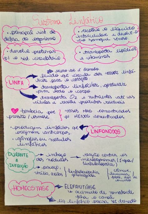 Mapa Mental Sobre Sistema Linf Tico Study Maps