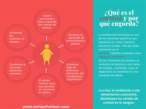 Qué Es El Cortisol Y Por Qué Engorda Miriam Herbon