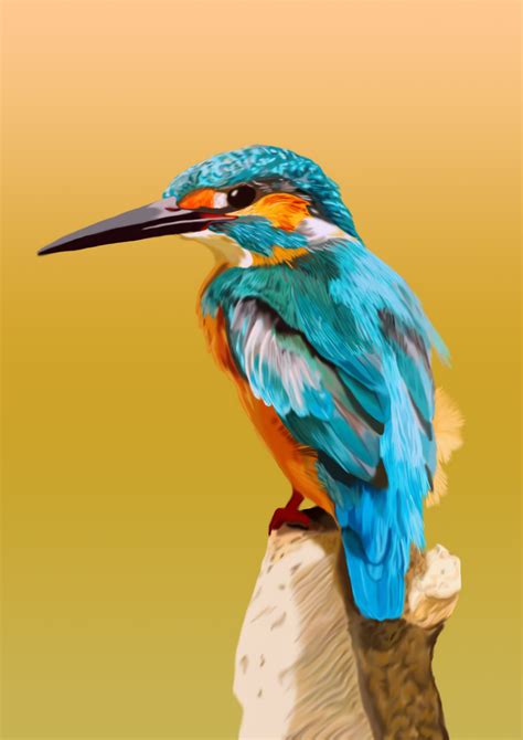 Artstation Kingfisher Digital Painting