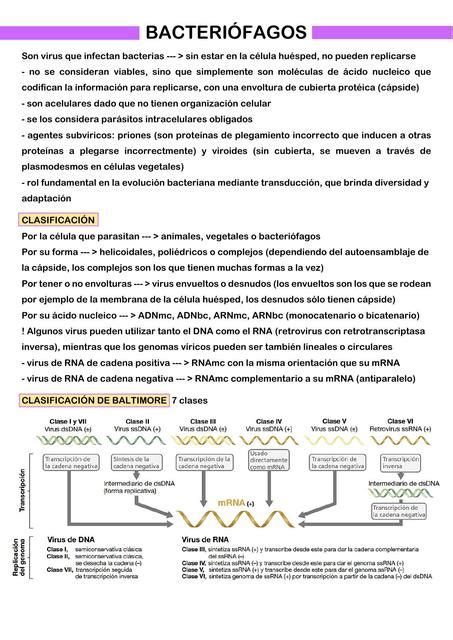 Bacteriófagos BIOTECH SG Sofía Gagliardi uDocz