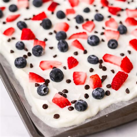 Frozen Yogurt Bark 5 Minute Recipe With Berries And Chocolate Chips