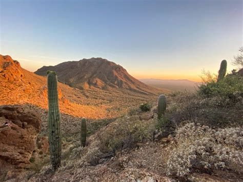 Guide Gates Pass At Tucson Mountain Park Arizona Parkflo