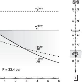 The phase diagrams of the superfluid phases of 3 He at a pressure of ...