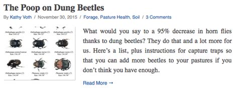 The Poop on Dung Beetles | On Pasture