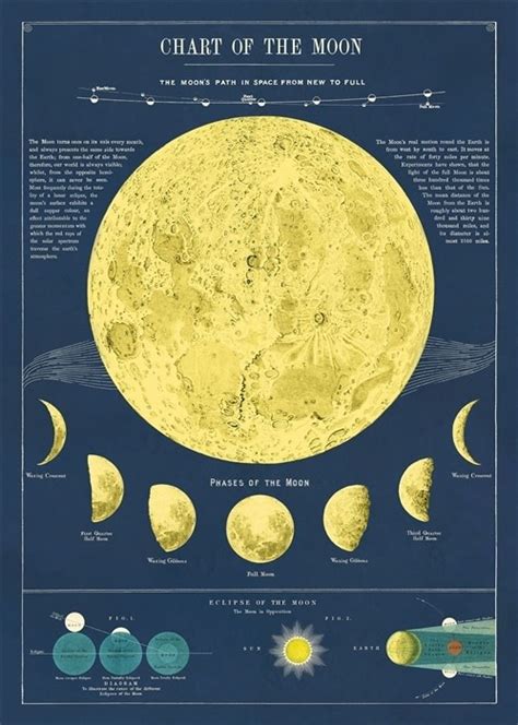 Vintage Poster Moon Chart Animaux Spéciaux