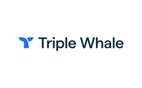 Triple Whale Review Features Pricing Alternatives