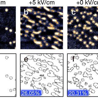 PDF Experimental Demonstration Of A Skyrmion Enhanced Strain Mediated