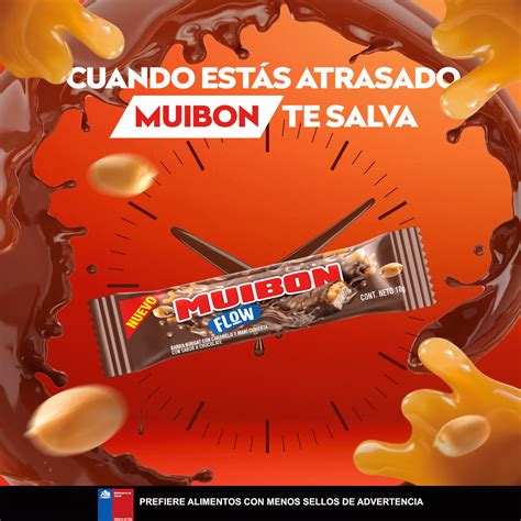 muibon chocolates work  progress  behance