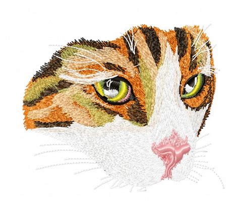 Cat Machine Embroidery Designs Tested Etsy