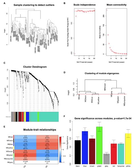 Figure From Identification Of Kiaa And Other Hub Genes Associated