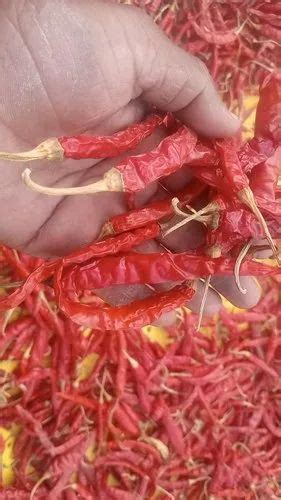 A Grade Guntur Dry Red Chilli For Cooking At Rs 150 Kg In Nagpur ID