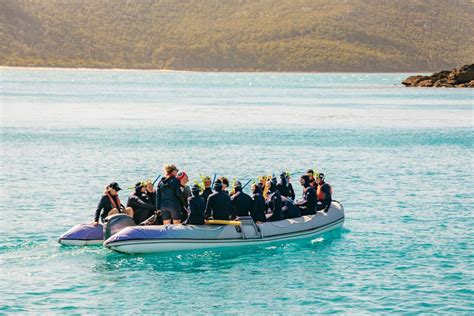 Airlie Beach Aventura De Un D A Entero En Vela Por Las Whitsundays