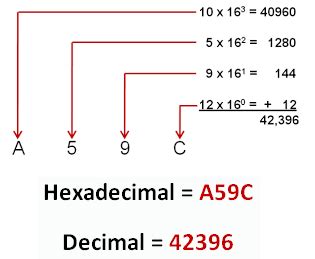 Decimal to Binary Octal Hexadecimal Calculator