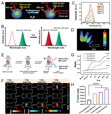 A Schematic Illustration Of H Sresponsive Ratiometric Fl Nanoprobe