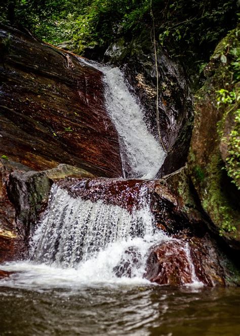 Wasserfall Bachlauf Natur Kostenloses Foto Auf Pixabay