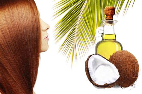 Top 7 Ways To Use Coconut Oil For Hair Keeva Organics