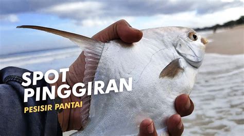 Strike Ikan Ini Memang Asik Mancing Dari Pinggiran Pantai Youtube