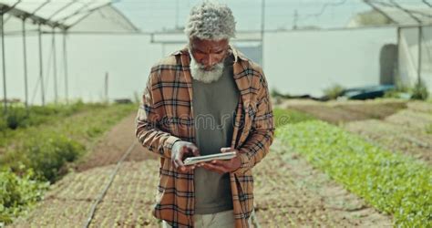 Man Farming And Walking With Tablet In Greenhouse For Agriculture