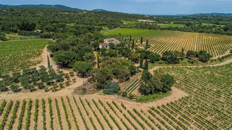 Domaine Viticole Vendre Saint Tropez Vignoble Vinea