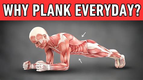 What Happens To Your Body When You Do Plank Daily For Minute