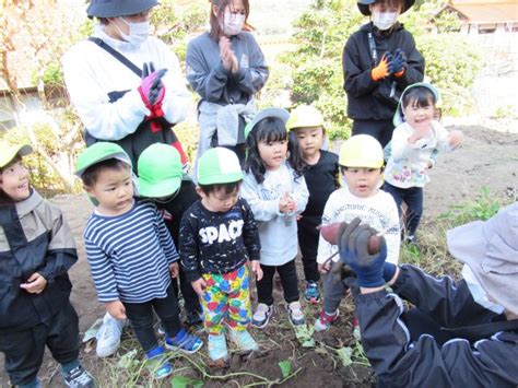 ぐりさんのおいもほり① ブログ 新着情報 広島市 佐伯区の地元密着型児童クラブ・保育園｜桜の杜