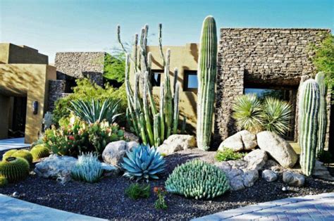 Cactus Et Plantes Grasses Extérieur Pour Un Jardin Facile Cactus Garden