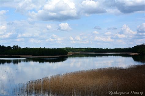 wigierski park narodowy wiosna Zachwycona Naturą