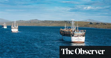 La Disputa Por Las Islas Malvinas Está Provocando Una Pesca “libre Para