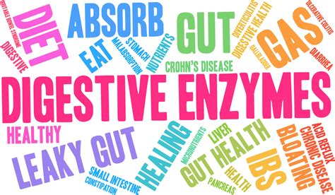 Benefits Of Digestive Enzymes Body Flow Wellness