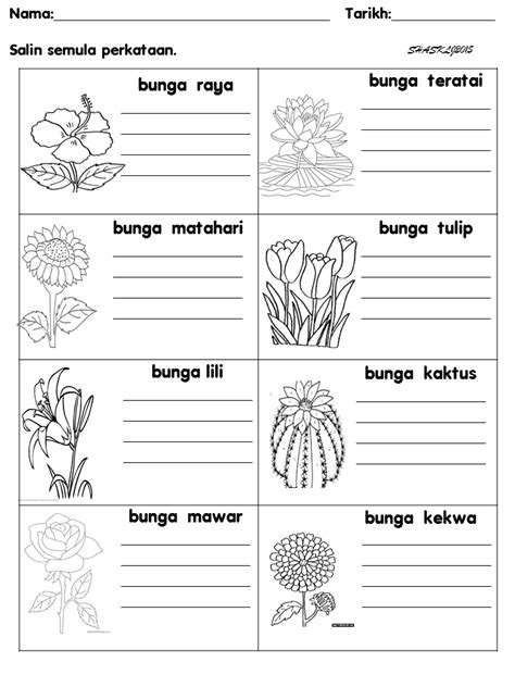 Lembaran Kerja Tema Tumbuh Tumbuhan Prasekolah Modul Pengajaran Sains