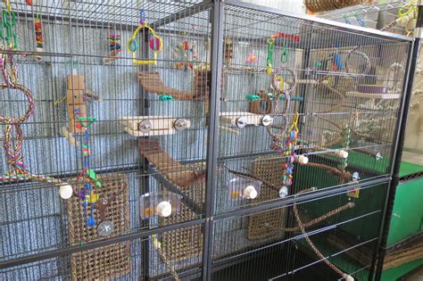 Budgie cage setup, right side close up. Double Prevue Hendryx F050 ...