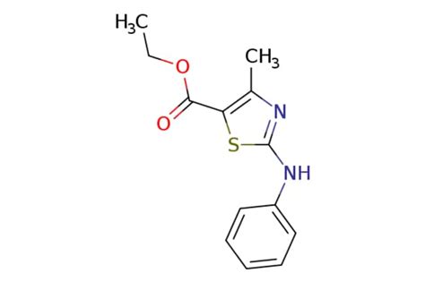 EMolecules Ethyl 5 Methyl 3 Phenylamino 2 4 Thiazole Carboxylate