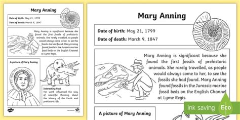 Mary Anning Fact File Primary Resources Twinkl