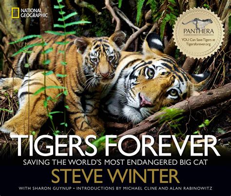Tigers Forever The Photo Society
