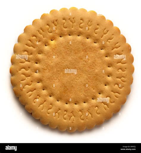 Round biscuit on white background Stock Photo - Alamy