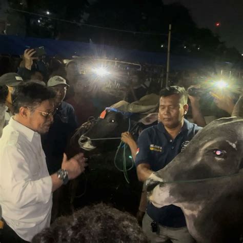 Cek Hewan Kurban Di Bogor Mentan Syl Ini Penting Guna Memastikan