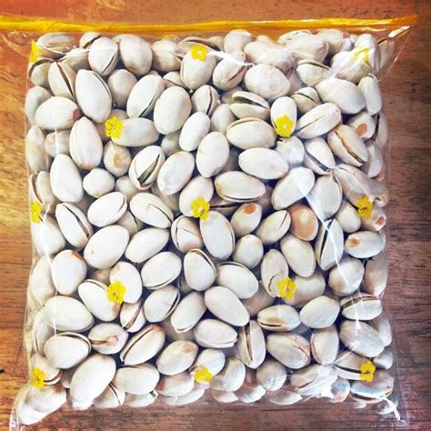 Kacang Pistachio Kacang Cerdik G Viral Lazada